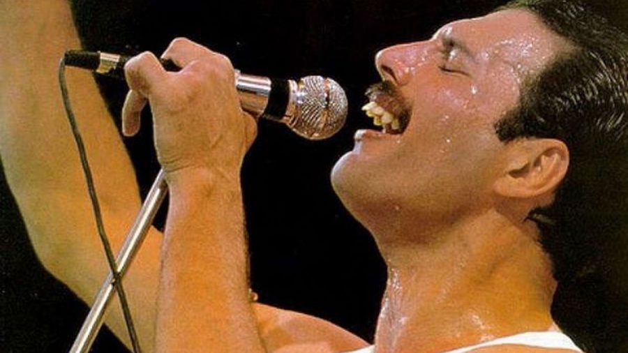 Freddie Mercury (não) morreu há anos - Jornal Tornado