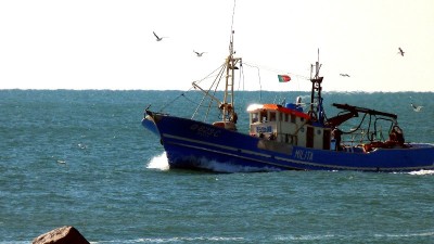 mar e pescas