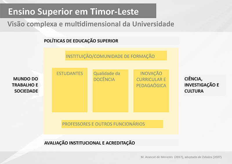 visão complexa e multidimensional da universidade